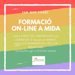 Formacio on-line - Conxi Perez Andreu