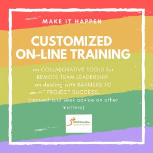 On-line Training - Conxi Perez Andreu