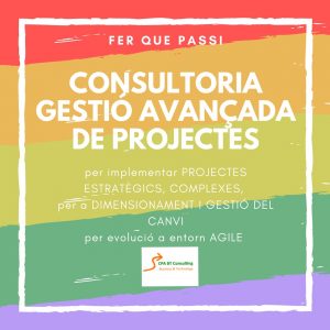 Consultoria Project Management - Conxi Perez Andreu